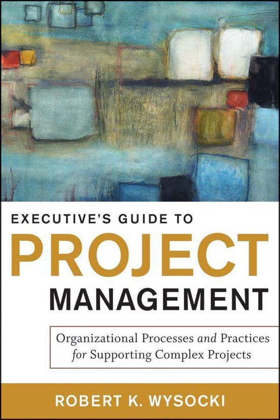 Executive's Guide to Project Management - cover