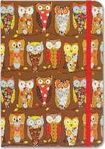 Perching Owls Journal (Diary, Notebook)