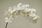 Zijdebloem orchidee wit 110cm