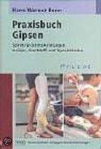 Praxisbuch Gipsen