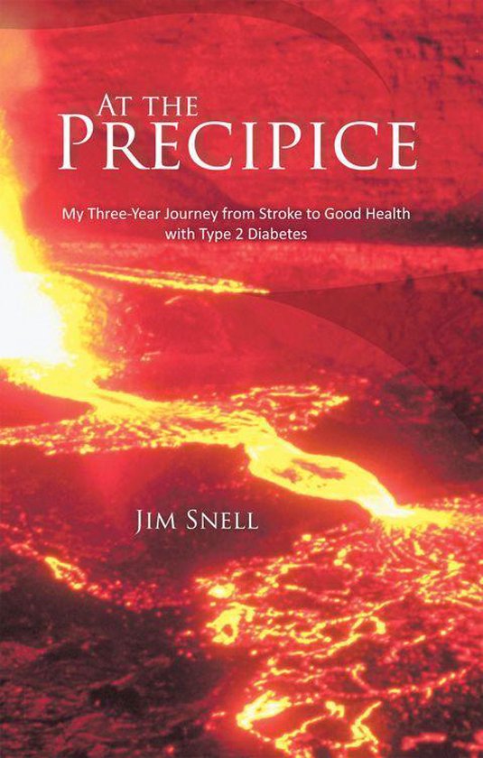 At the Precipice - cover