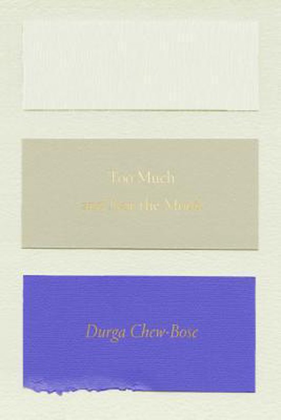 Too Much and Not the Mood, Durga ChewBose 9780374535957 Boeken