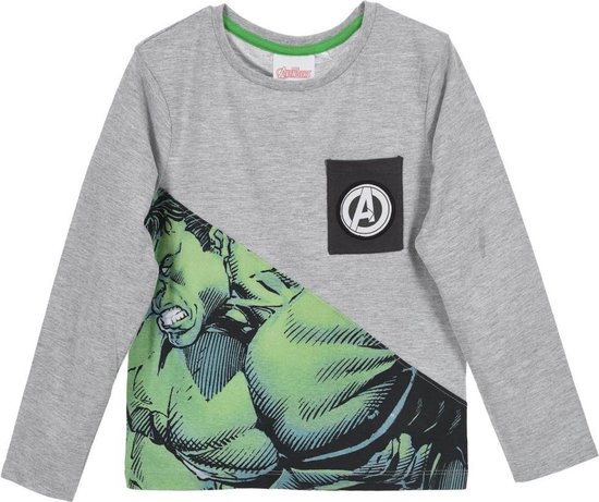 nevel badminton samenzwering Marvel Avengers The Hulk sweater / trui maat 4 (104cm) | bol.com
