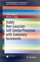Stable Non Gaussian Self Similar Processes with Stationary Increments