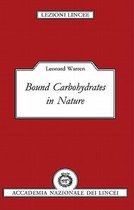 Lezioni Lincee- Bound Carbohydrates in Nature