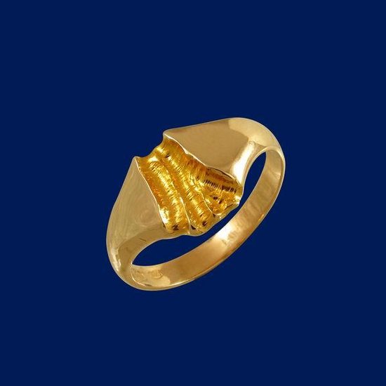 Rivier van goud, Gouden ring 20.5mm