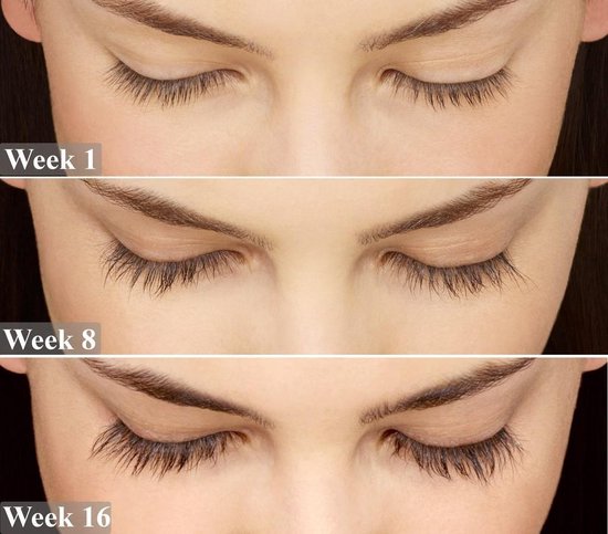 lash Wimperserum
