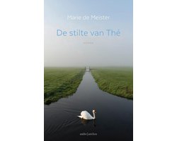 Omslag van De stilte van Thé