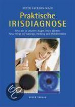 Praktische Irisdiagnose
