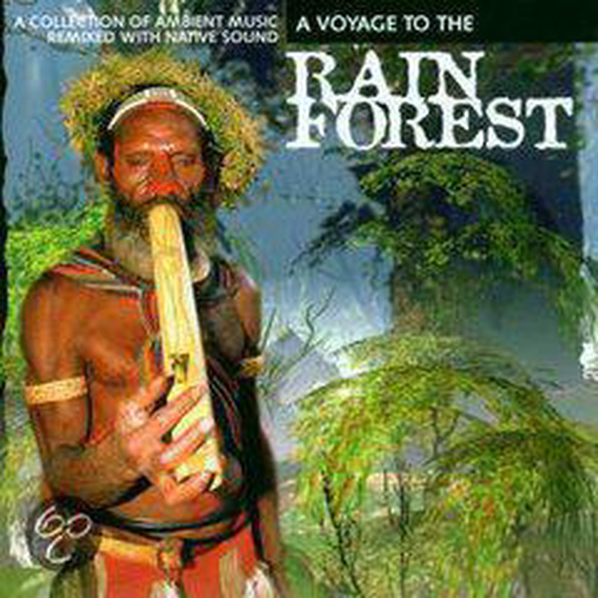 A Voyage To The Rain Forr