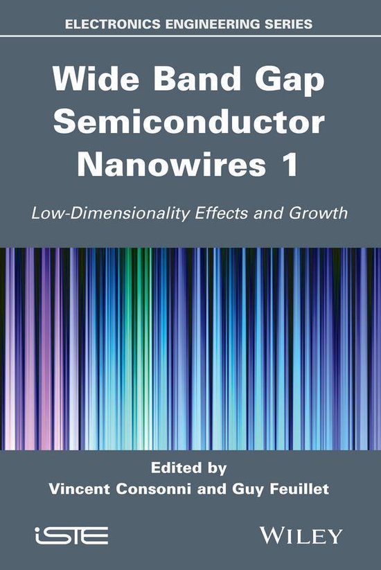 Wide Band Gap Semiconductor Nanowires 1 - cover