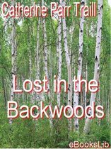 Lost in the Backwoods