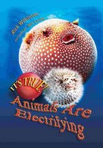 It's True! Animals are electrifying (11)