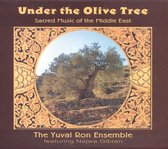 Under The Olive Tree