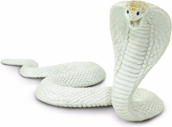 herberg slaap Draad Plastic speelgoed figuur witte cobra 15 cm | bol.com