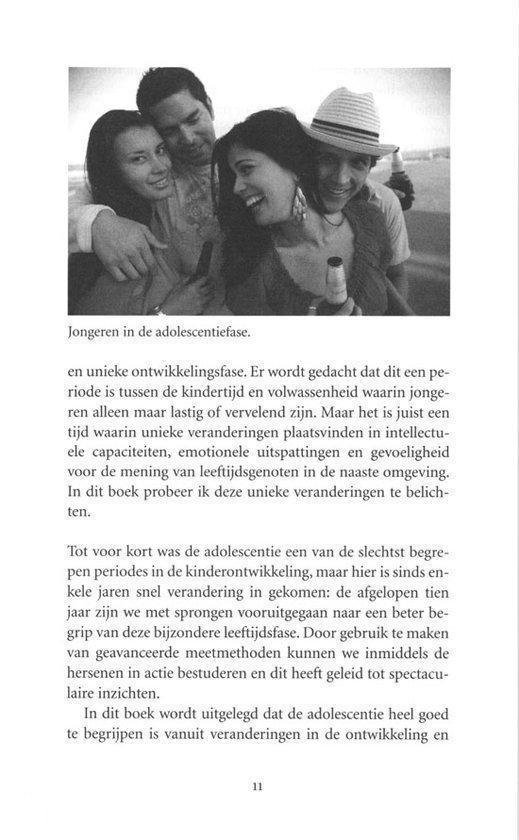 Het puberende brein