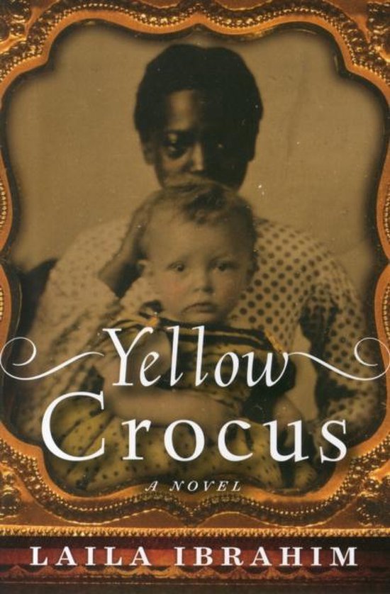 Yellow Crocus - cover