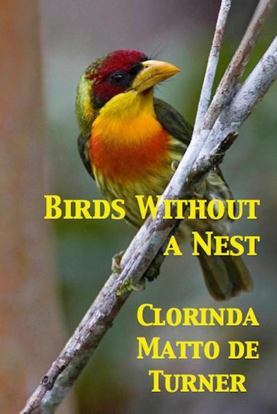 Birds Without a Nest