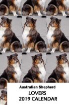 Australian Shepherd Lovers 2019 Calendar