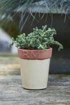 Riviera Maison RM Classic Ceramic Pot - Bloempot - S - offwhite - Porselein