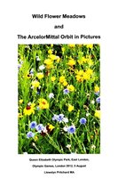 Photo Albums 20 - Wild Flower Meadows and The ArcelorMittal Orbit in Pictures [Part 1]