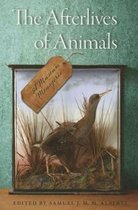 The Afterlives of Animals