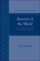 America in the World