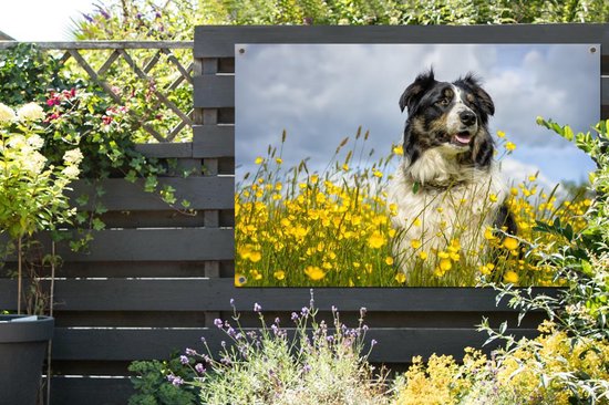 Border Collie parmi les belles fleurs jaunes Affiche de jardin 180x120 cm - Toile de jardin / Toile d'extérieur / Peintures d'extérieur (décoration de jardin) XXL / Grand format!