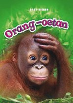 Baby-dieren - Orang-oetan