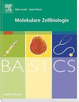 BASICS - BASICS Molekulare Zellbiologie