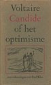 Candide of het optimisme