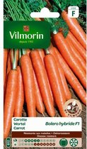 Vilmorin - Wortel Boléro F1 Daucus carota