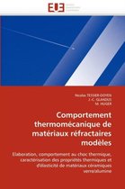 Comportement thermomécanique de matériaux réfractaires modèles