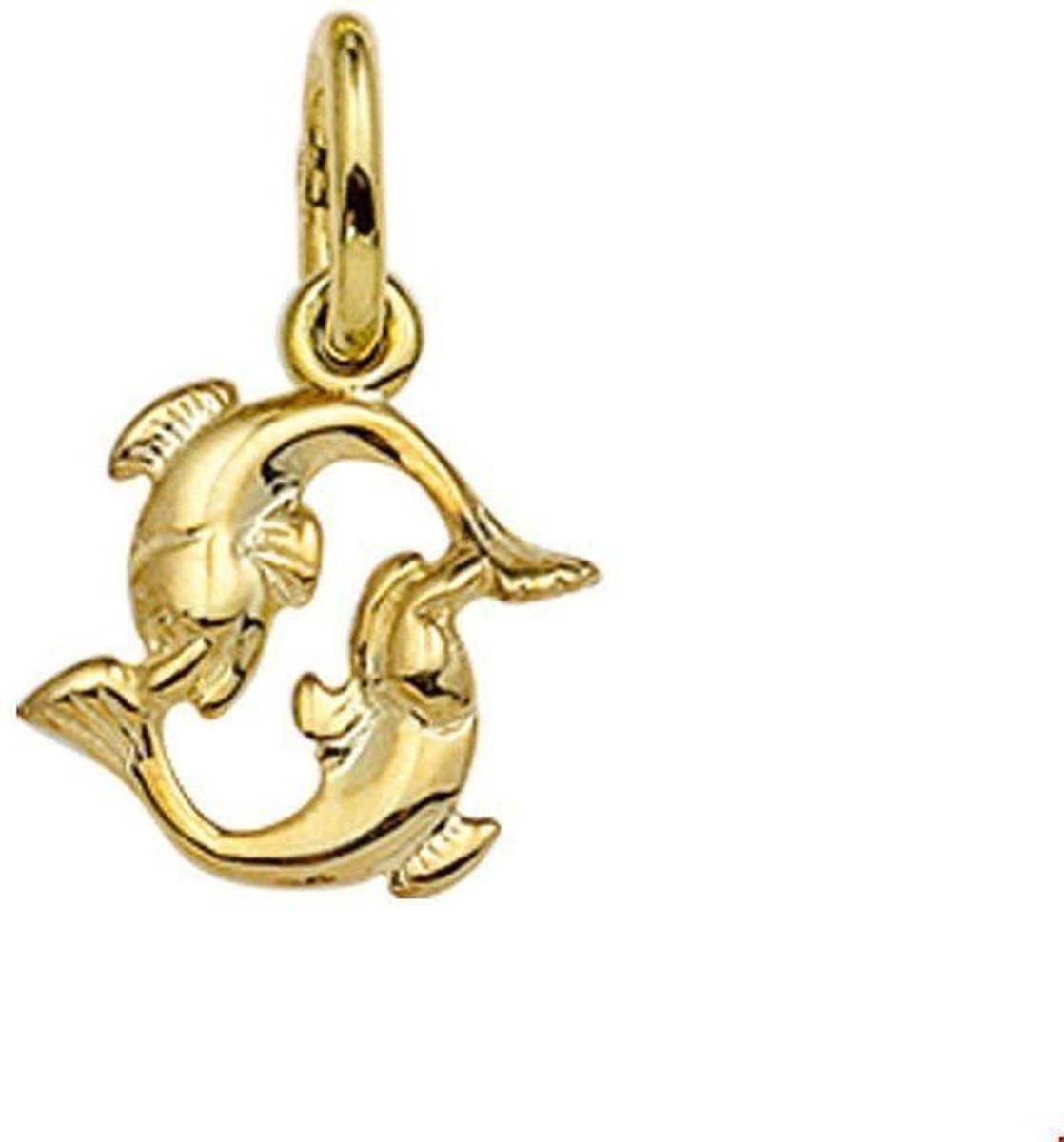 Geelgouden Hanger sterrenbeeld vissen 4006451