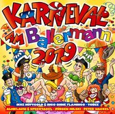 Various Artists - Karneval Am Ballermann 2019 (2 CD)