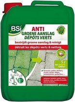 Anti dépôts verts 5 L - contre les dépôts verts (algues) dans et autour du jardin