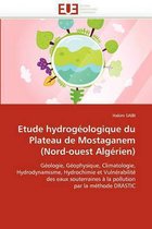 Etude Hydrogeologique Du Plateau de Mostaganem (Nord-Ouest Algerien)