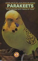 A Beginners Guide to Parakeets
