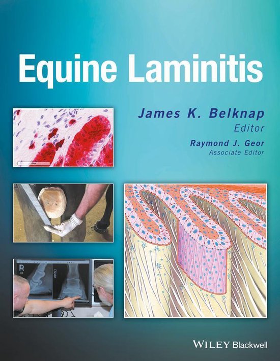 Equine Laminitis - cover