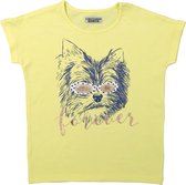 DJ Dutchjeans Meisjes T-shirt - Faded yellow - Maat 104