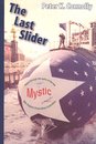 Omslag The Last Slider