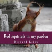 Red Squirrels in My Garden