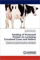 Feeding of Protected Protein on Lactating Crossbred Cows and Heifers