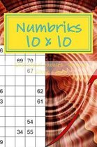 Numbriks 10x 10 - 250 Logical Puzzles - Bronze + Silver + Gold