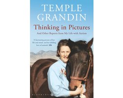 Thinking in Pictures