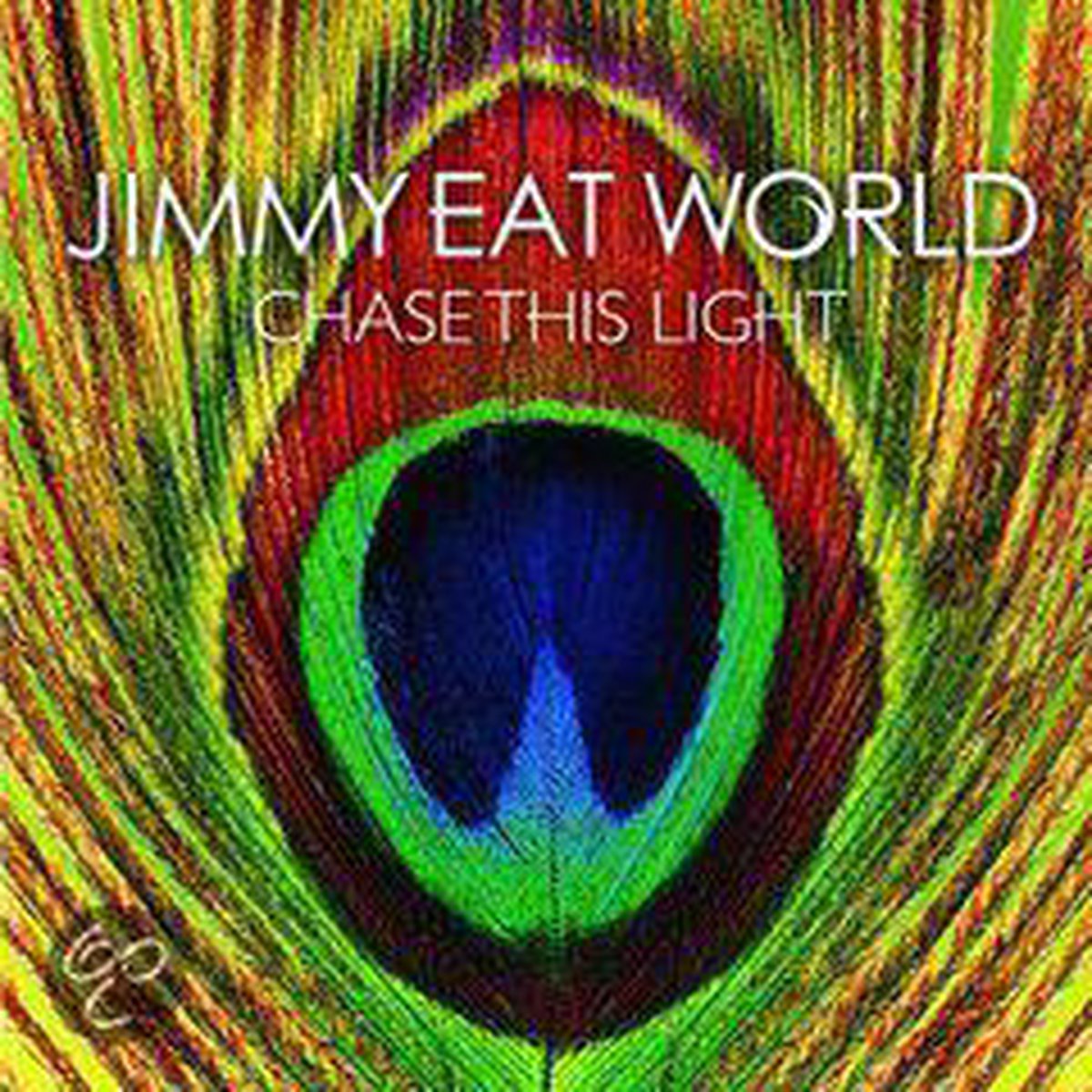 Chase This Light