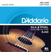 D'Addario EJ40 Silk And Steel Folk Silver Wound 11-47