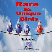 Rare & Unique Birds