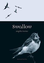 Animal - Swallow