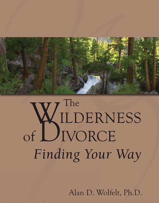 The Wilderness of Divorce - cover